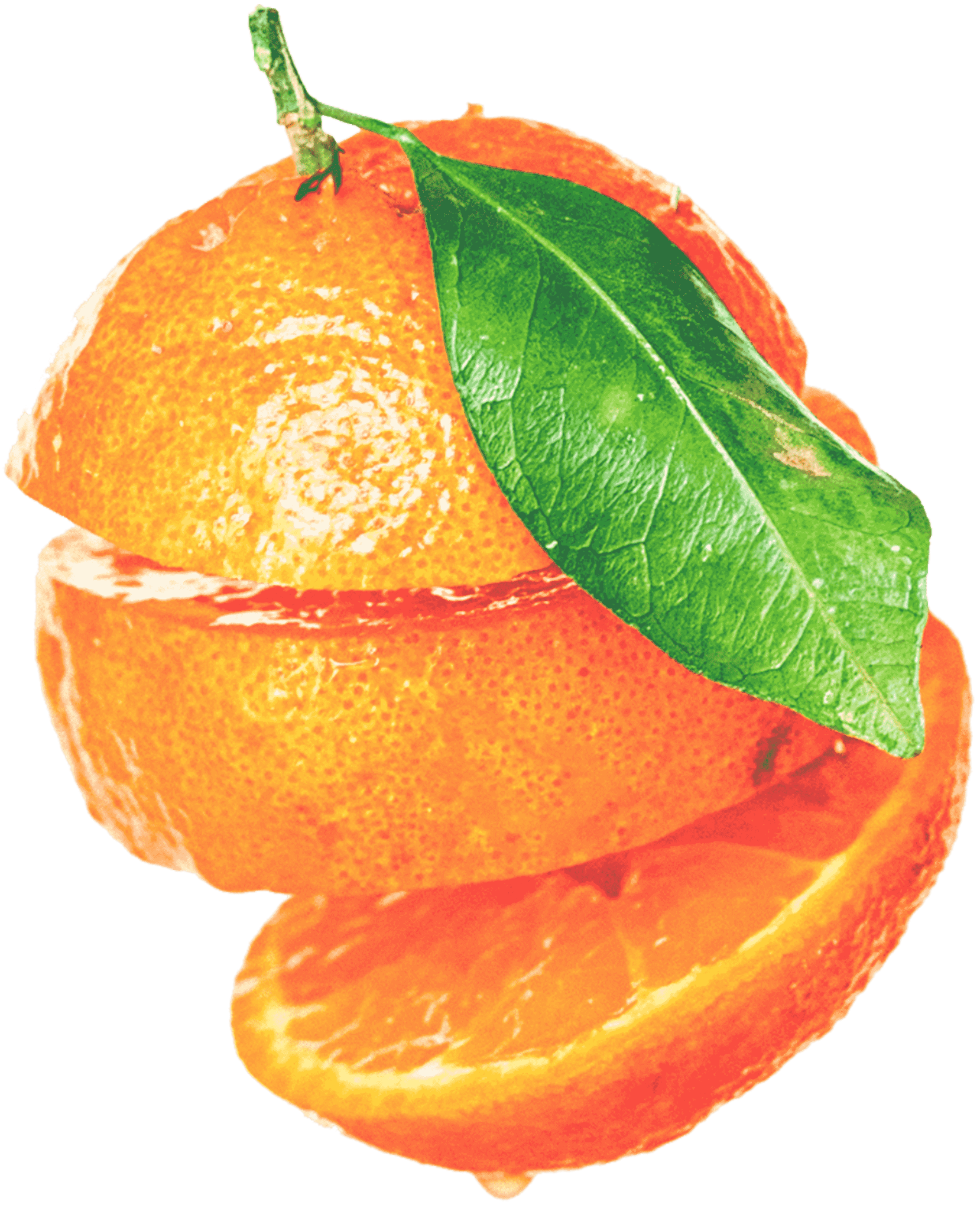 dietitian-98